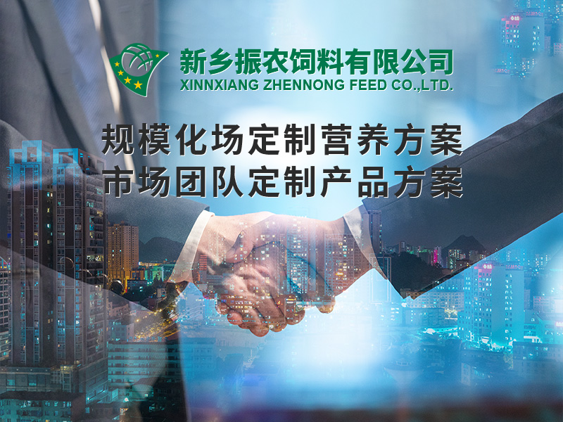 規(guī)?；喼?>
                          </div>
                          <div   id=